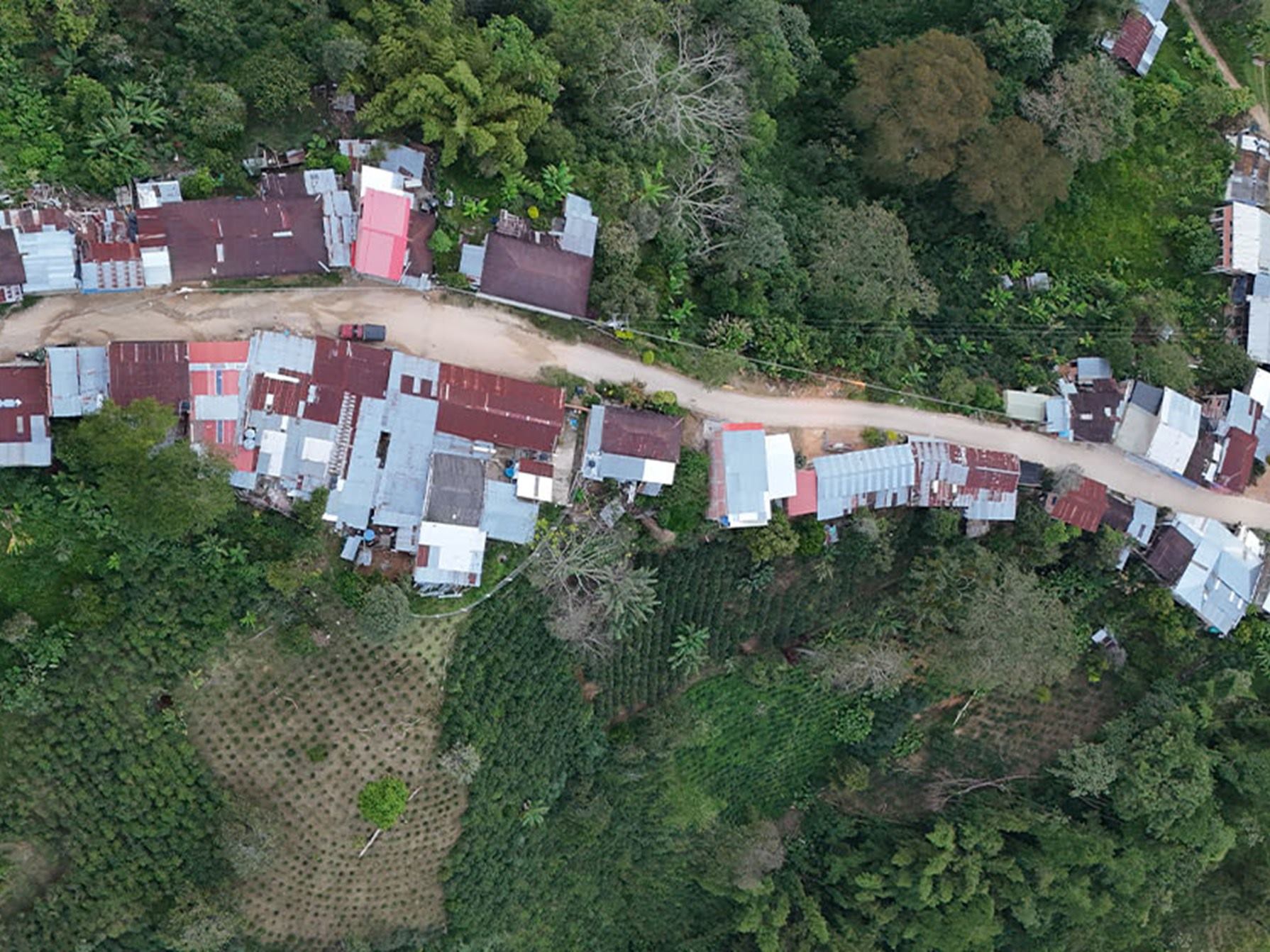 Café del Tolima, orgullo de Colombia