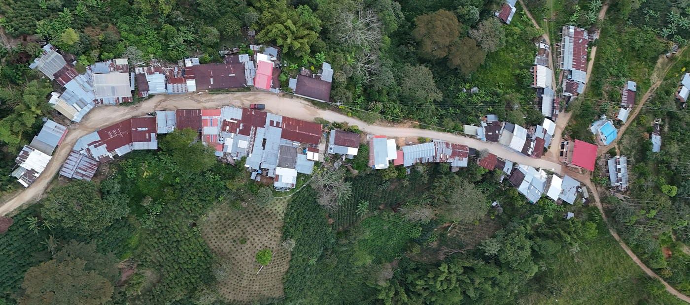 Café del Tolima, orgullo de Colombia